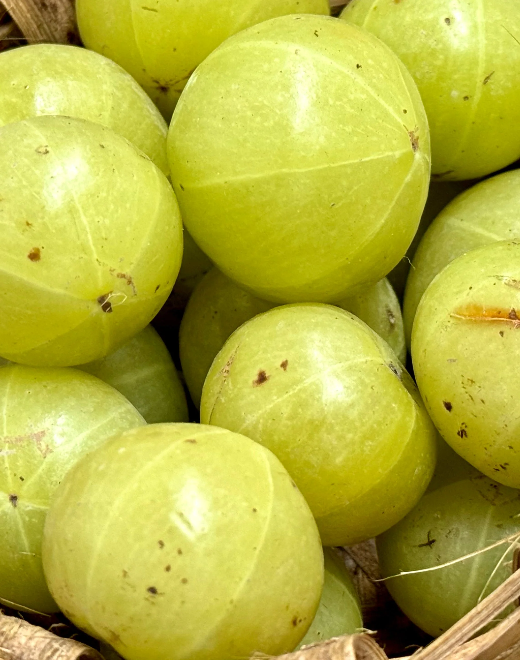 Shampoo Amla Volume Ricarica - Image 5